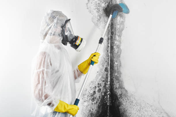 Best Mold-Related Health Consultation  in Leitchfield, KY