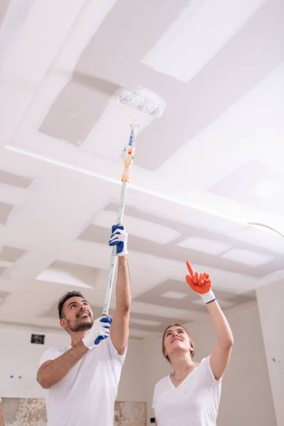Best Industrial Mold Remediation  in Leitchfield, KY