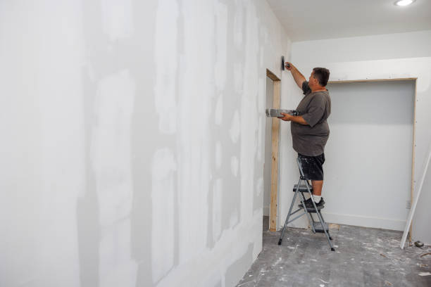 Best Black Mold Removal  in Leitchfield, KY