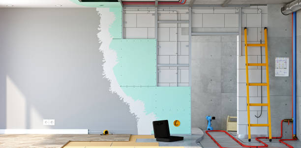Best Basement Mold Removal  in Leitchfield, KY