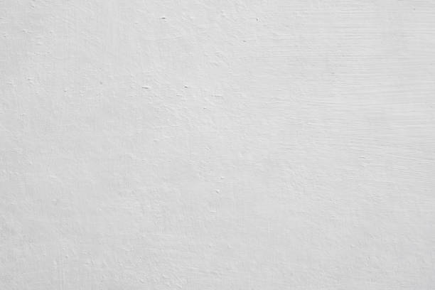 Professional Mold Removal in Leitchfield, KY