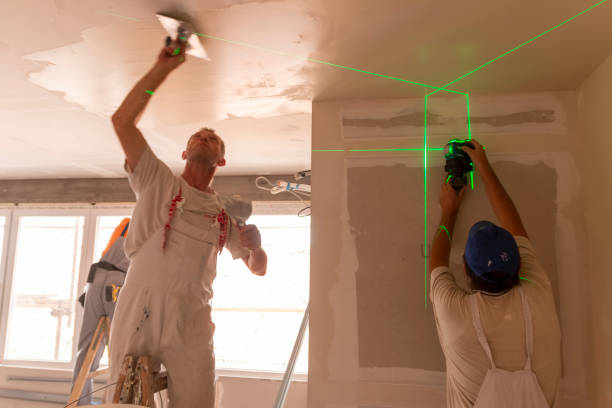 Best Emergency Mold Remediation  in Leitchfield, KY