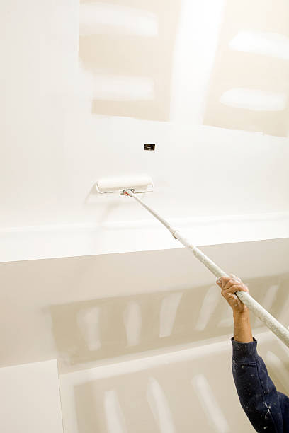 Best Biohazard Mold Removal  in Leitchfield, KY