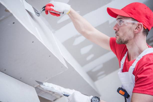 Best Environmental Consulting for Mold Prevention  in Leitchfield, KY